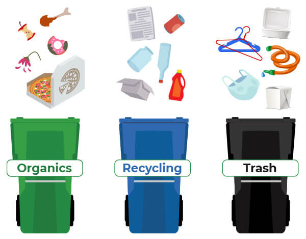 sorting waste properly